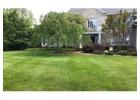 Trusted Lawn Care Services Manassas VA – Organic & Effective