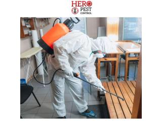 Expert Pest Control Officer – Safe & Effective Pest Solutions