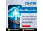 Cloud Forensics