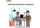 The Role of a Certified Chief Learning Officer in Driving Organizational Growth.
