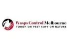 Wasp Nest Removal Melbourne
