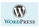 Choose the Best WordPress development company in India for Custom WordPress Solutions