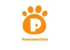Pawsometime Shop | Katzenspielzeug, Hundespielzeug & Andere Arten