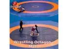 Best Price Wrestling Octagon Mat in Delhi | Gravolite