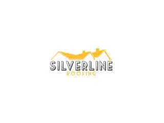 Professional Roof Replacement Near Me - Edmonton's Silverline