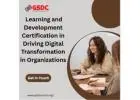 The Role of Learning and Development Certification in Driving Digital Transformation in Organization
