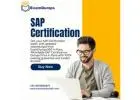 Crack SAP Certification with Dumps in Pune – 100% Passing Result
