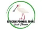 African Spoonbill Tours- Luxury Serengeti National Park Safari Tours