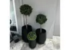 Install Artificial Plants to Elevate Your Brisbane Space with Instant Greenery