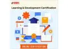 Why Learning and Development Certificates  important in the Digital Transformation Era