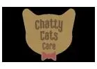 Trusted Cat Day Care & In-Home Cat Care by Chatty Cats Care