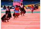 Affordbele Price Kho Kho Approved Mat | Gravolite