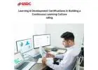 The Role of Learning & Development Certifications in Building a Continuous Learning Culture
