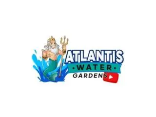 Fish Pond Repair Near