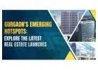 New Project Launch In Gurgaon | Paras Buildtech
