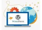 Wordpress Development Company in Delhi