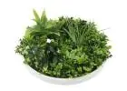 Luxury Artificial Green Wall Plant Wall Circle