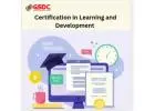 The Role of Learning and Development Certification in Building a Future-Ready Workforce.
