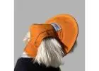 Stylish Waterproof Dog Hat – Must-Have in Accessories for Dogs