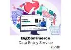 Reliable & Efficient BigCommerce Product Data Entry Services
