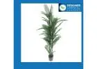 Brighten Your Walls With Artificial Plants at Wholesale in Melbourne