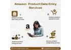 Best Amazon Product Data Entry Services in India