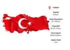 Analyze Global Trends with Reliable Turkey Import Data