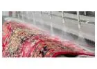 Expert Rug Repair Services in Southeastern Michigan – Restore Your Rug’s Original Charm