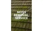 Professional Roof Cleaning and Sealing Services in Hemel Hempstead