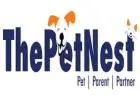 Online Vet Consultation - 2025 | ThePetNest