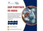SAP Partner in India | SAP Solution in India