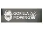 lawn mowing auckland​--Gorilla Mowing