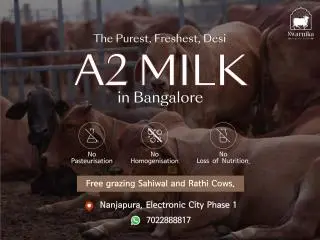 Pure A2 Desi cow Milk delivery in Electronic City Bangalore