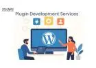 Leading Plugin Development Company for WordPress
