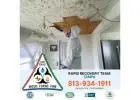 Safe Air Solutions: Mold Removal in Tampa