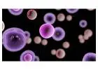 Stem Cell Therapy for Cancer in Delhi NCR