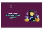 Fast & Expert White Label Crypto Exchange Solutions