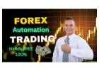Zero Hassle, High Reward: Start Earning Passively with Forex