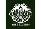Clean Cut Tree Experts
