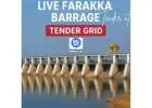 Live Farakka Barrage Tender at Tender Grid