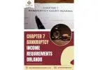 Proven Chapter 7 bankruptcy Income requirements Help