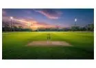 Best Cricket Turf Manufacturer in India - Book Now