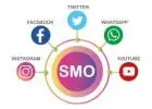 Social Media Optimization Services in Bangalore: 2025 Complete Guide with Pricing & ROI Analysis