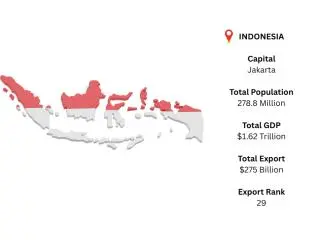 Indonesia Import Data: Clear Market Insights for Smarter Sourcing