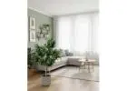 Create a Serene Space with Premium Artificial Bamboo Plants