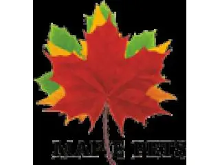 Fluval Store | Aquatics | Maple Pets International Pvt Ltd