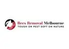 Bees control Melbourne
