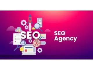 Best SEO Company in Dubai for Business Growth