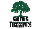 Tree Service Santa Rosa