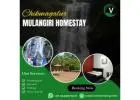 chikmagalur homestay for family group